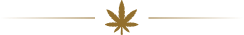 Border