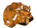 Concentrates