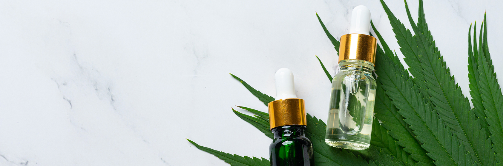Cannabis tincture bottles beside fresh cannabis leaves