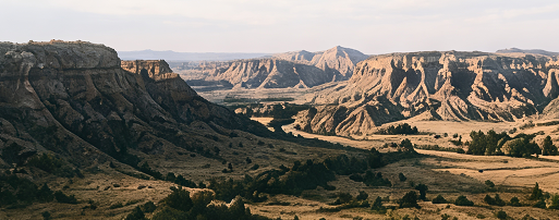 bg image